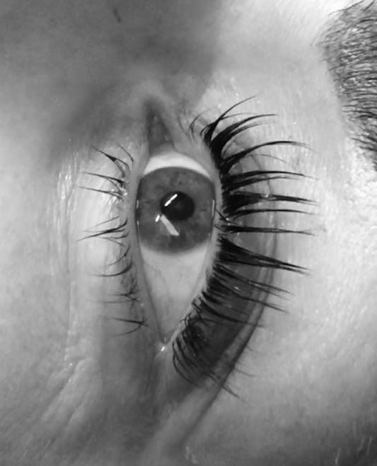 Lash Lift & Tint Training Course