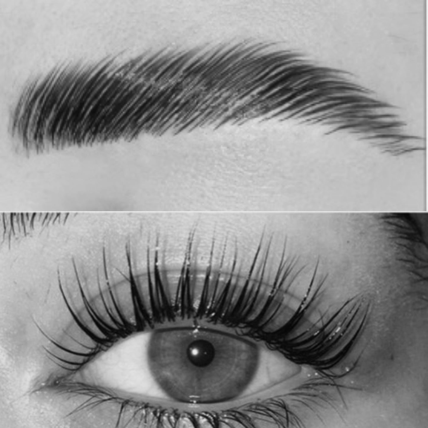 Lash Lift & Brow Lamination Training Course